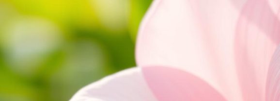 Podrażnienia po goleniu bikini – objawy, przyczyny i zalecenia