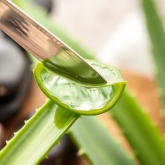 Aloes na twarz jak stosować: co robić, żeby zobaczyć efekty