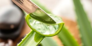 Aloes na twarz jak stosować: co robić, żeby zobaczyć efekty