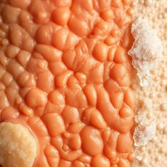 Typ skóry a klimat: najprostszy schemat pielęgnacji